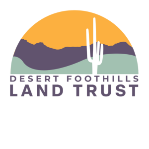 Focus on the Foothills: Archaeology Fall 2026 - logo